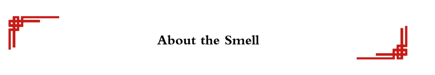 T127 Professional Handmade Makeup Brushes Natural Goat Hair Nose Eye Shadow Blending Brush Short Ebony Wood Handle Make Up Brush